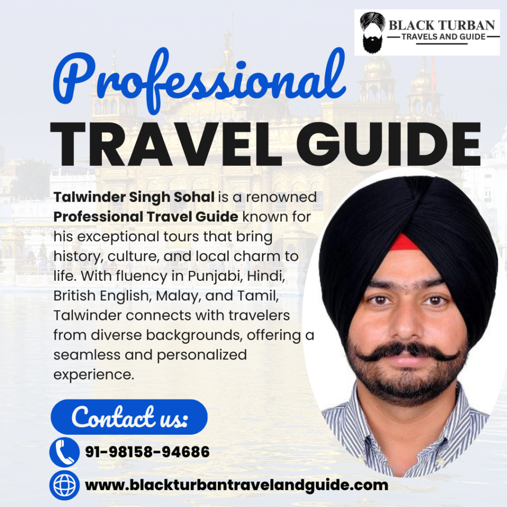 Professional travel guide